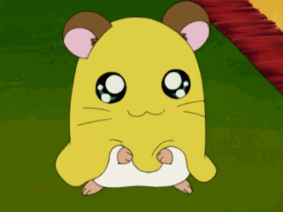Detail Gambar Animasi Hamtaro Nomer 13