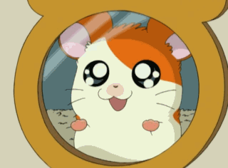 Detail Gambar Animasi Hamtaro Nomer 17