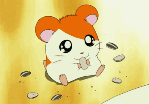 Detail Gambar Animasi Hamtaro Nomer 19
