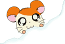 Detail Gambar Animasi Hamtaro Nomer 21