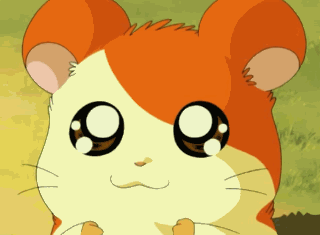 Detail Gambar Animasi Hamtaro Nomer 22