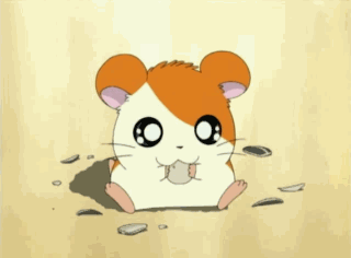 Detail Gambar Animasi Hamtaro Nomer 23