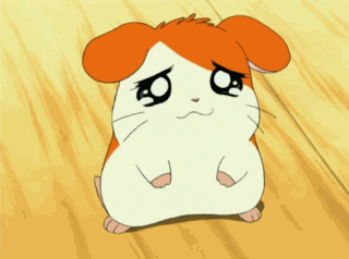 Detail Gambar Animasi Hamtaro Nomer 25