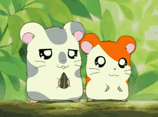 Detail Gambar Animasi Hamtaro Nomer 32