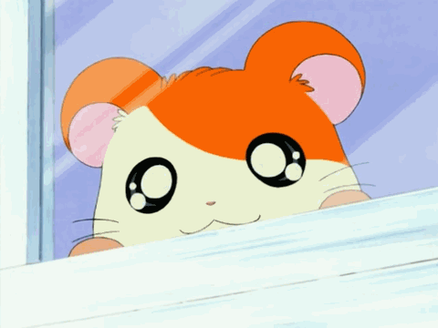 Detail Gambar Animasi Hamtaro Nomer 33