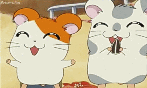 Detail Gambar Animasi Hamtaro Nomer 34