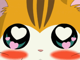 Detail Gambar Animasi Hamtaro Nomer 35