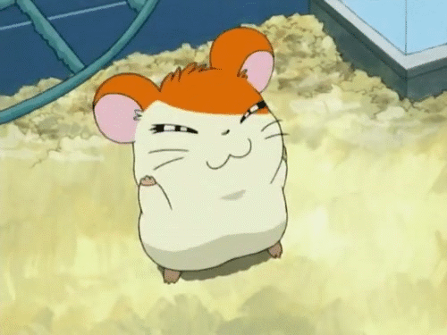 Detail Gambar Animasi Hamtaro Nomer 38