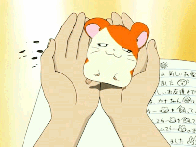 Detail Gambar Animasi Hamtaro Nomer 42