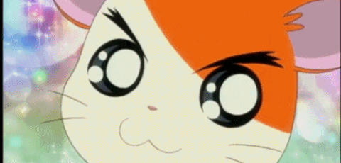 Detail Gambar Animasi Hamtaro Nomer 44