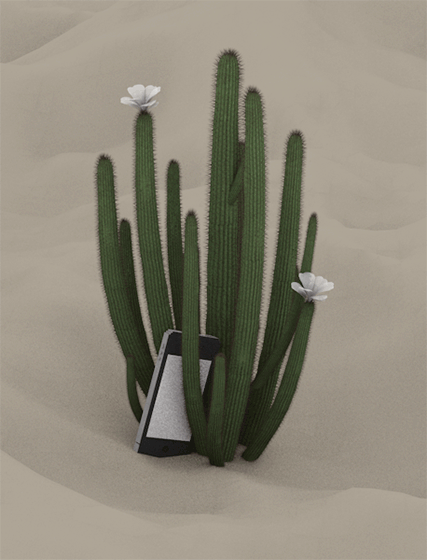 Detail Gambar Animasi Kaktus Nomer 25