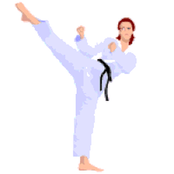 Detail Gambar Animasi Karate Keren Nomer 15