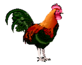 Detail Gambar Ayam Animasi Nomer 3