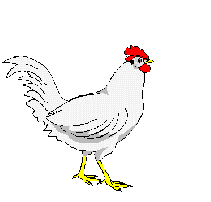 Gambar Ayam Petelur Kartun - KibrisPDR