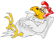 Detail Gambar Ayam Petelur Kartun Nomer 11