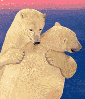 Detail Gambar Beruang Animasi Nomer 26