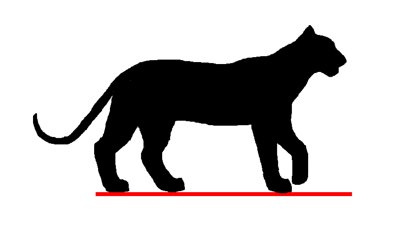 Detail Gambar Binatang Kartun Kucing Nomer 41