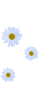 Detail Gambar Bunga Daisy Kartun Nomer 20