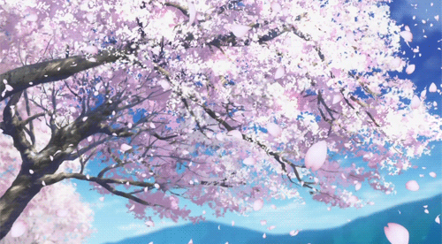 Detail Gambar Bunga Sakura Animasi Nomer 1