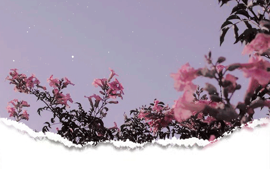 Detail Gambar Bunga Sakura Animasi Nomer 17