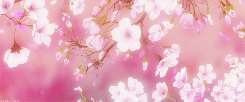 Detail Gambar Bunga Sakura Animasi Nomer 30