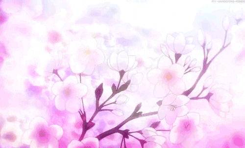 Detail Gambar Bunga Sakura Kartun Nomer 31