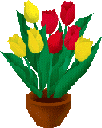 Detail Gambar Bunga Tulip Animasi Nomer 2