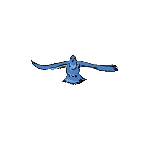 Detail Gambar Burung Terbang Animasi Nomer 7