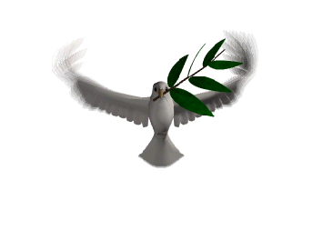 Detail Gambar Burung Terbang Animasi Nomer 10