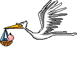 Detail Gambar Burung Terbang Animasi Nomer 23
