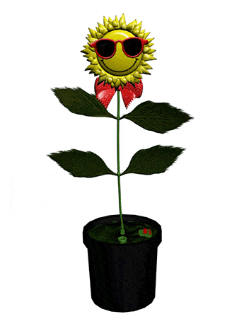 Gambar Daun Bunga Matahari Kartun - KibrisPDR