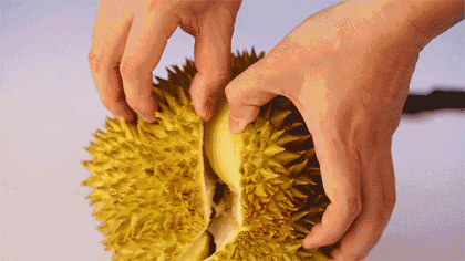 Detail Gambar Durian Kartun Nomer 12