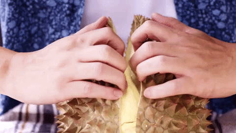 Detail Gambar Durian Kartun Nomer 22