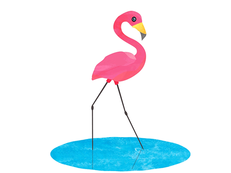 Detail Gambar Flamingo Kartun Nomer 13