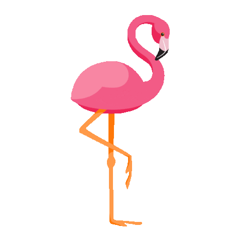 Detail Gambar Flamingo Kartun Nomer 26