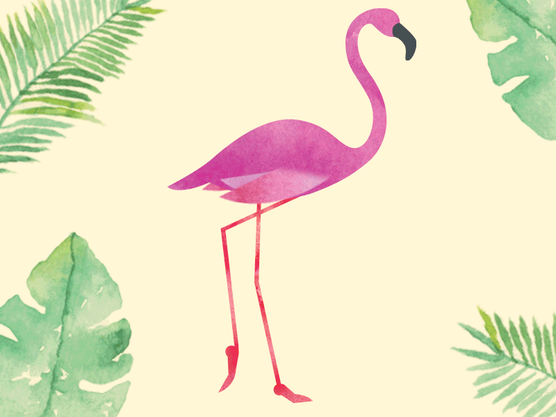 Detail Gambar Flamingo Kartun Nomer 8