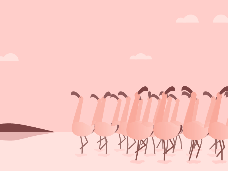 Detail Gambar Flamingo Kartun Wallpaper Nomer 3