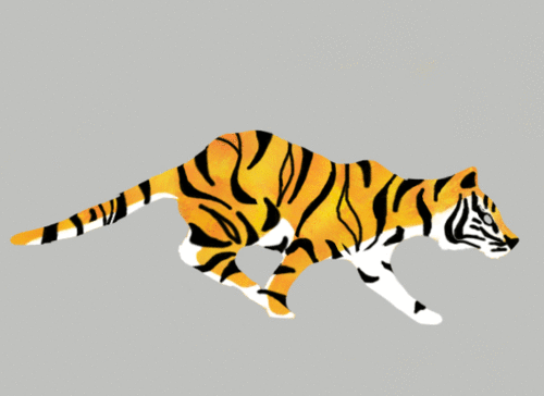 Gambar Harimau Animasi - KibrisPDR