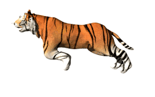 Detail Gambar Harimau Animasi Nomer 12