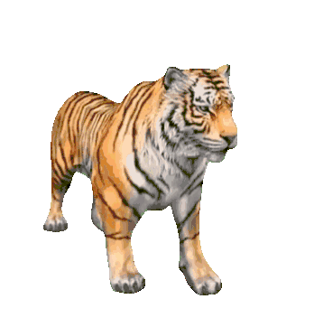 Detail Gambar Harimau Animasi Nomer 2