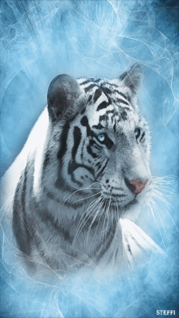 Detail Gambar Harimau Animasi Nomer 20