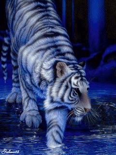 Detail Gambar Harimau Animasi Nomer 35
