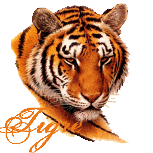Detail Gambar Harimau Sumatera Kartun Nomer 30
