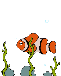 Gambar Hewan Laut Kartun Lucu - KibrisPDR