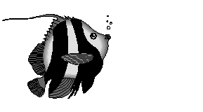 Detail Gambar Ikan Animasi Nomer 16