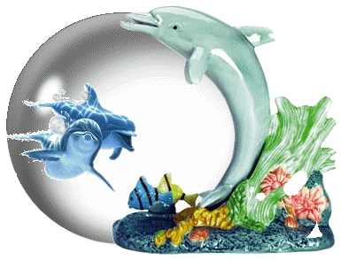 Detail Gambar Ikan Lumba Lumba Kartun Nomer 26