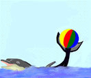 Detail Gambar Ikan Lumba Lumba Kartun Nomer 2