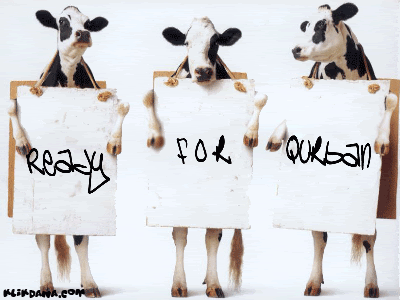 Detail Gambar Kambing Kurban Kartun Nomer 8