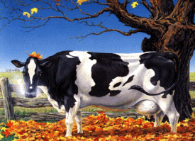 Detail Gambar Kambing Kurban Kartun Nomer 21