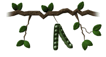 Detail Gambar Kangkung Kartun Nomer 2